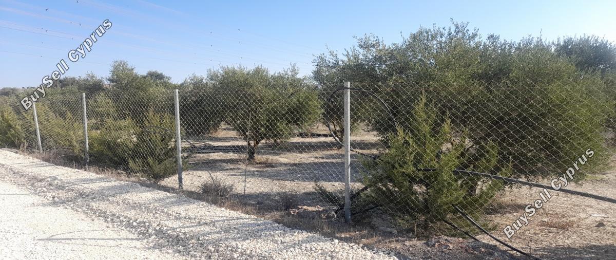 land for sale alampra nicosia 1062054 image 16162393