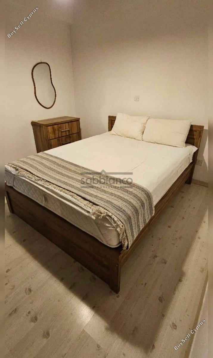 1 bedroom apartment for rent lykavitos nicosia 8749154 image 16472940