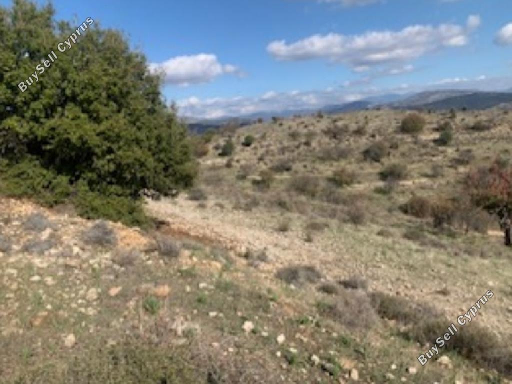 10368 SQM Land for sale in Nata, Paphos 15599470