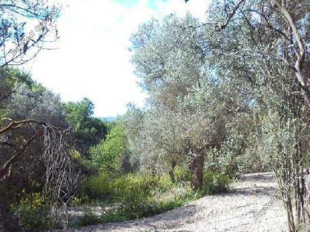 2314 SQM Land for sale in Drynia, Paphos 16306165