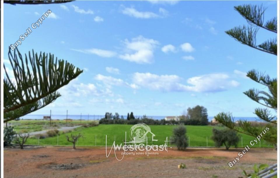 3 bedroom bungalow for sale kato paphos paphos 8959154 image 17778570
