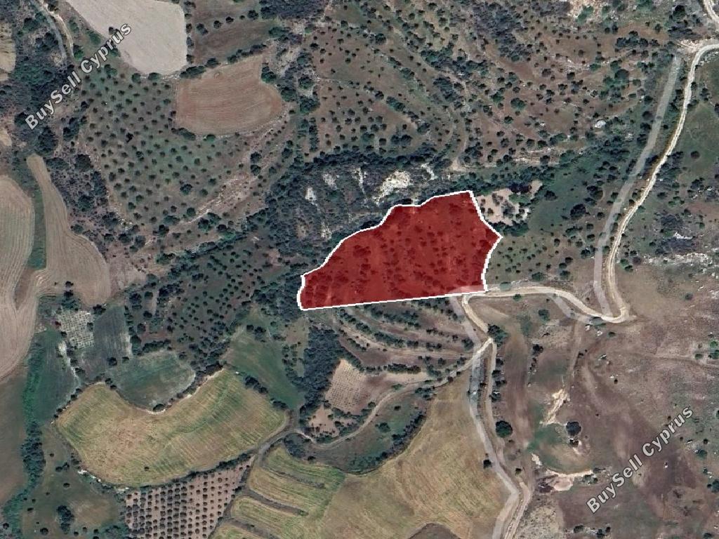 land for sale filousa chrysoxous paphos 1270154 image 15599300