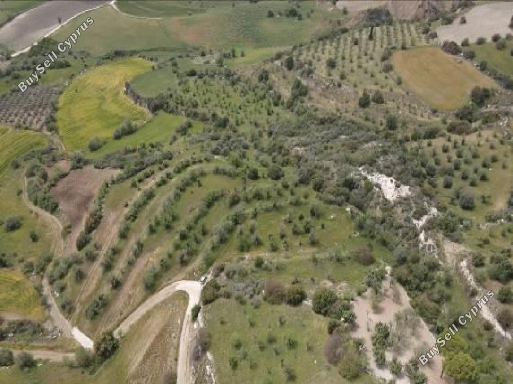 land for sale filousa chrysoxous paphos 1270154 image 15599301