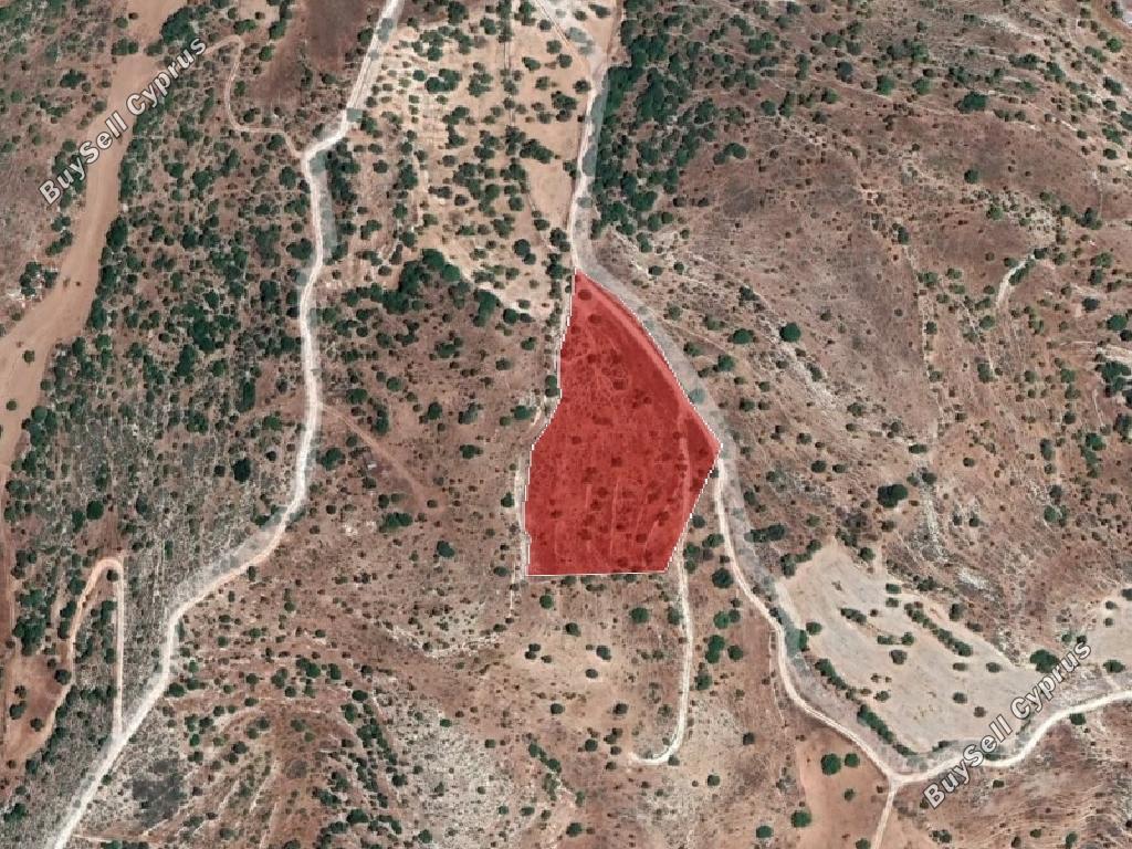 land for sale nata paphos 974154 image 15599469
