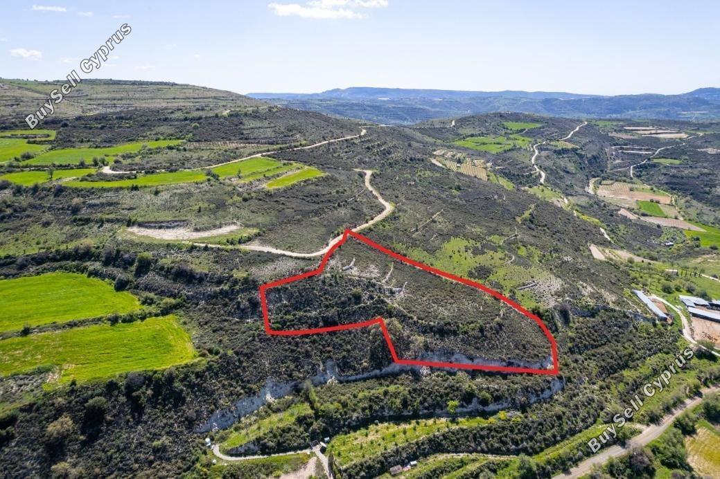 land for sale praitori paphos 1898154 image 14212741