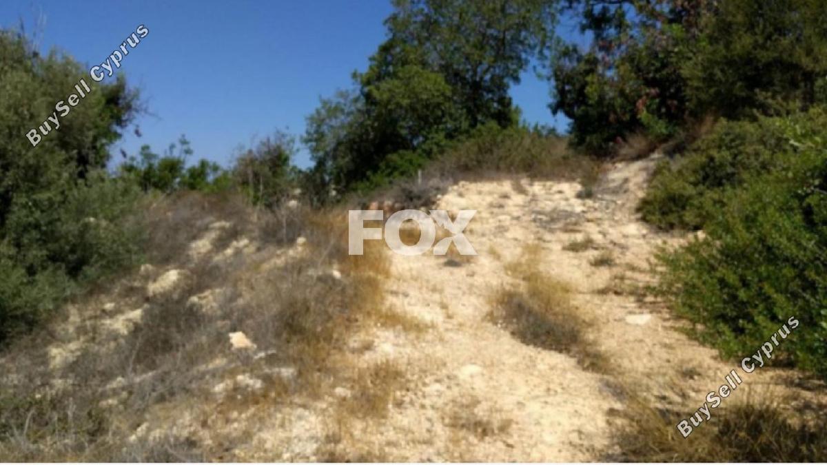 land for sale tala paphos 1161154 image 14827648