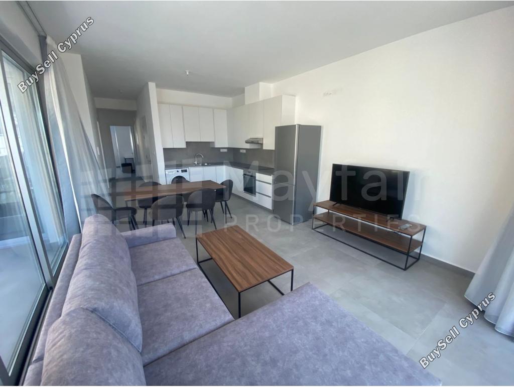 2 bedroom apartment for rent agios spyridonas limassol 8393254 image 15330703