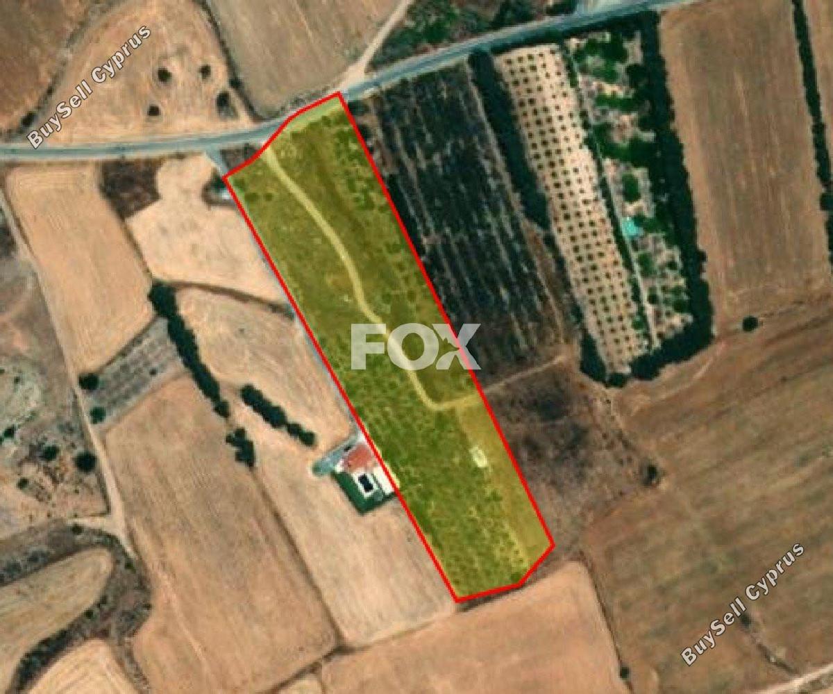 land for sale kouklia pafou paphos 1160254 image 14827322