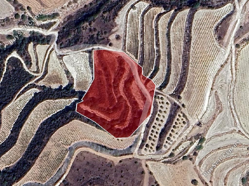 land for sale lemona paphos 8628354 image 16275692