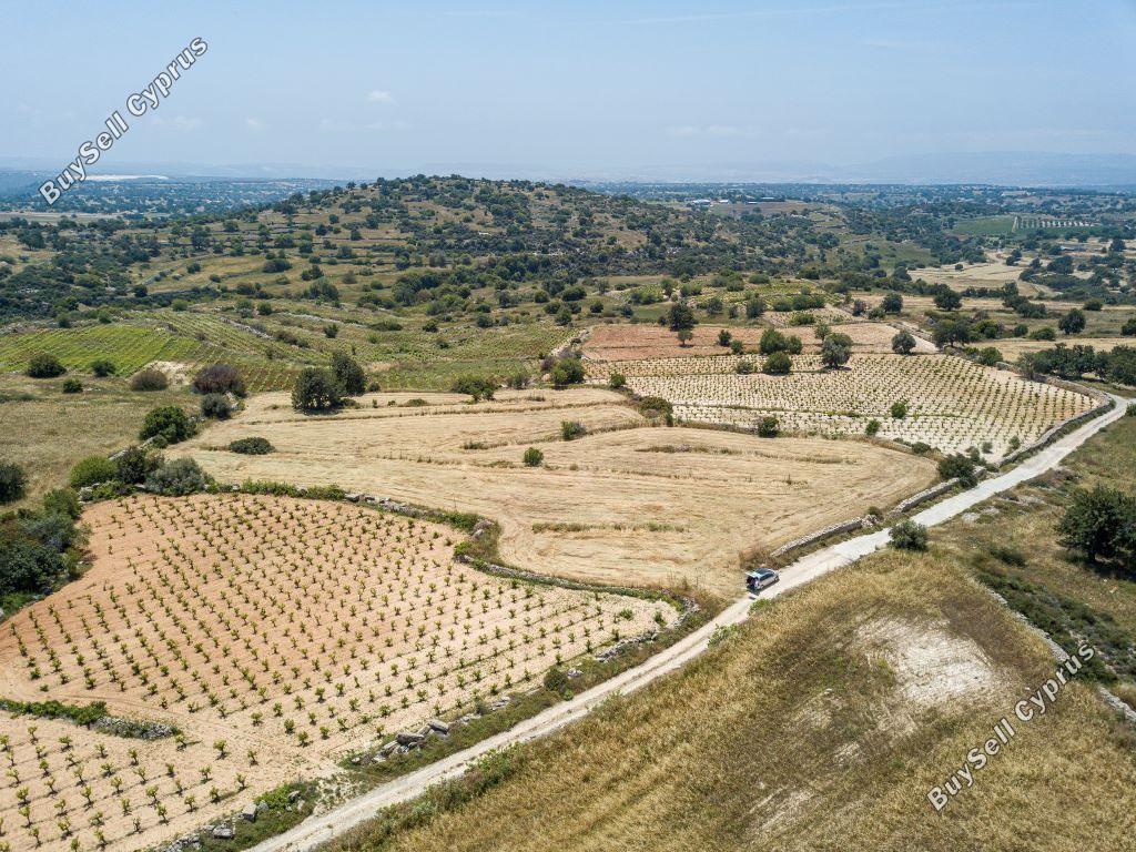 land for sale pachna limassol 8926354 image 17615388