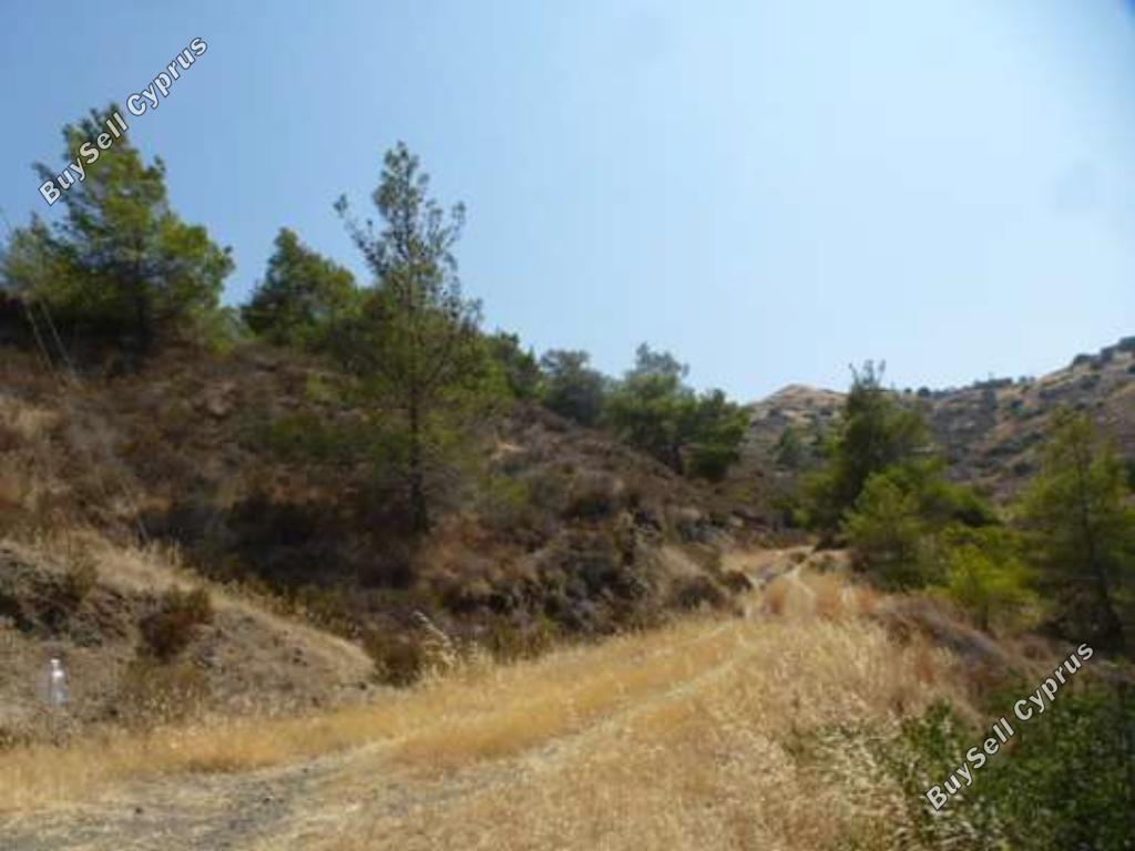 land for sale pigenia nicosia 946354 image 15876537