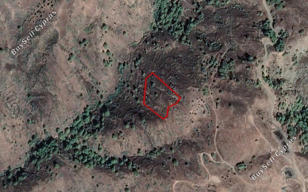 land for sale pigenia nicosia 966354 image 12843168