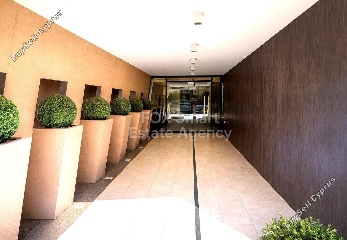 2 bedroom apartment for rent acropolis nicosia 8692454 image 16154798