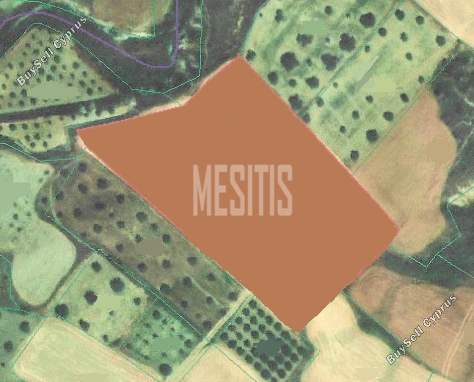 land for sale tseri nicosia 988454 image 10485521
