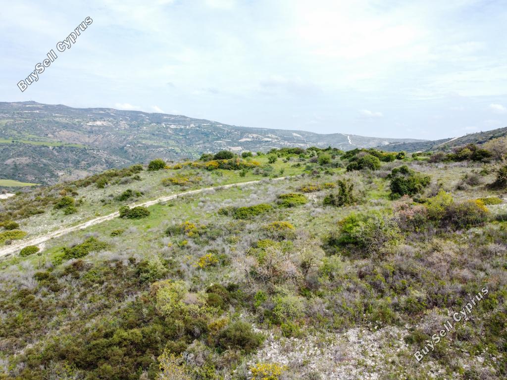 land for sale vavla larnaca 946454 image 12840757