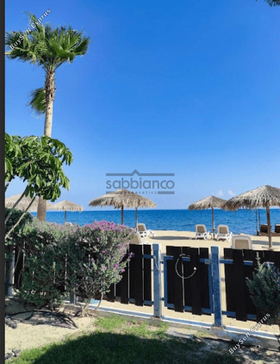 3 bedroom detached house for sale mazotos larnaca 8744554 image 16422202