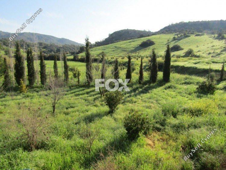 6 bedroom detached house for sale foinikaria limassol 1146554 image 5500464