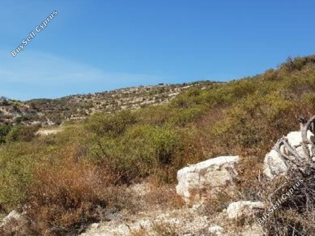 land for sale koilani limassol 1205554 image 15603471