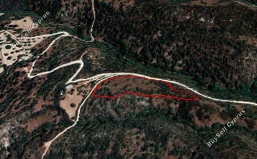 8696 SQM Plot for sale in Koili, Paphos 15525081