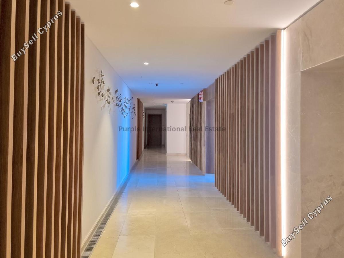 3 bedroom apartment for sale kato paphos paphos 8140654 image 14888823