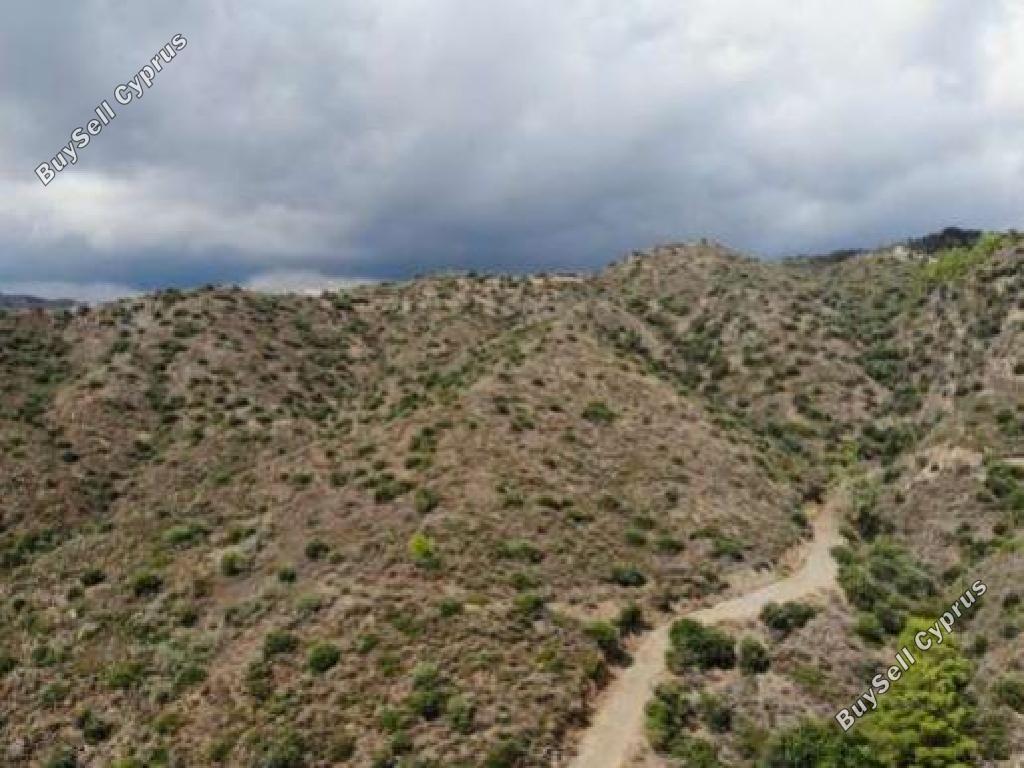 land for sale ora larnaca 945654 image 15600764