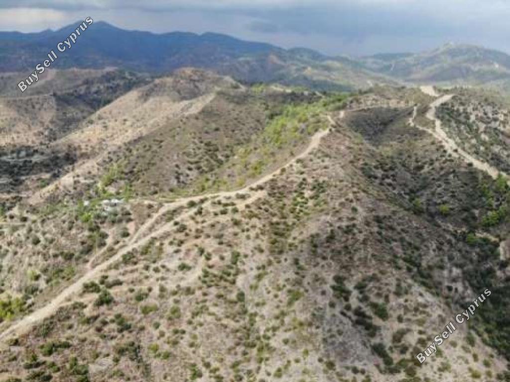 land for sale ora larnaca 945654 image 15600765