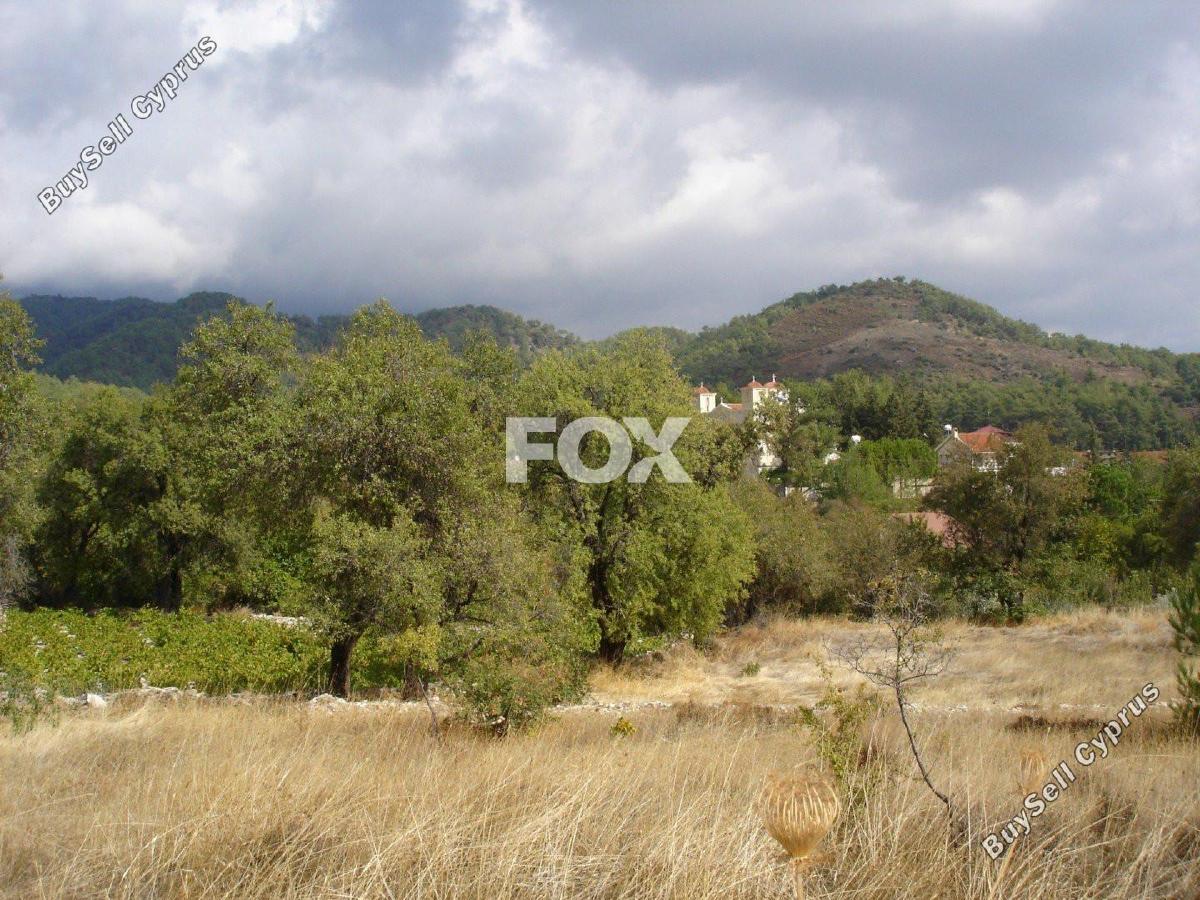 land for sale pera pedi limassol 1160654 image 5547381