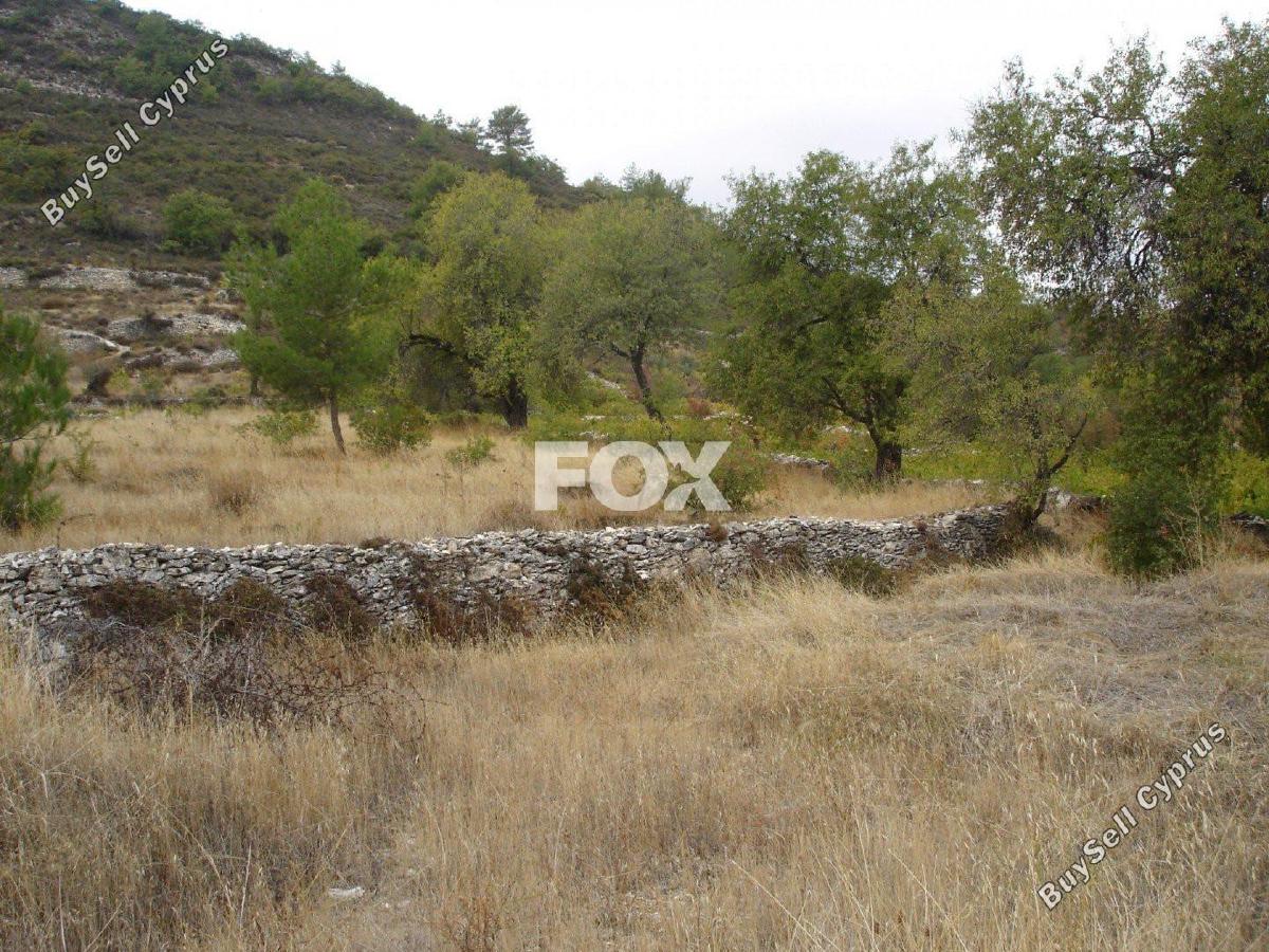 land for sale pera pedi limassol 1160654 image 5547383