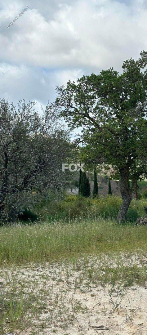 plot for sale armou paphos 1160854 image 10405535