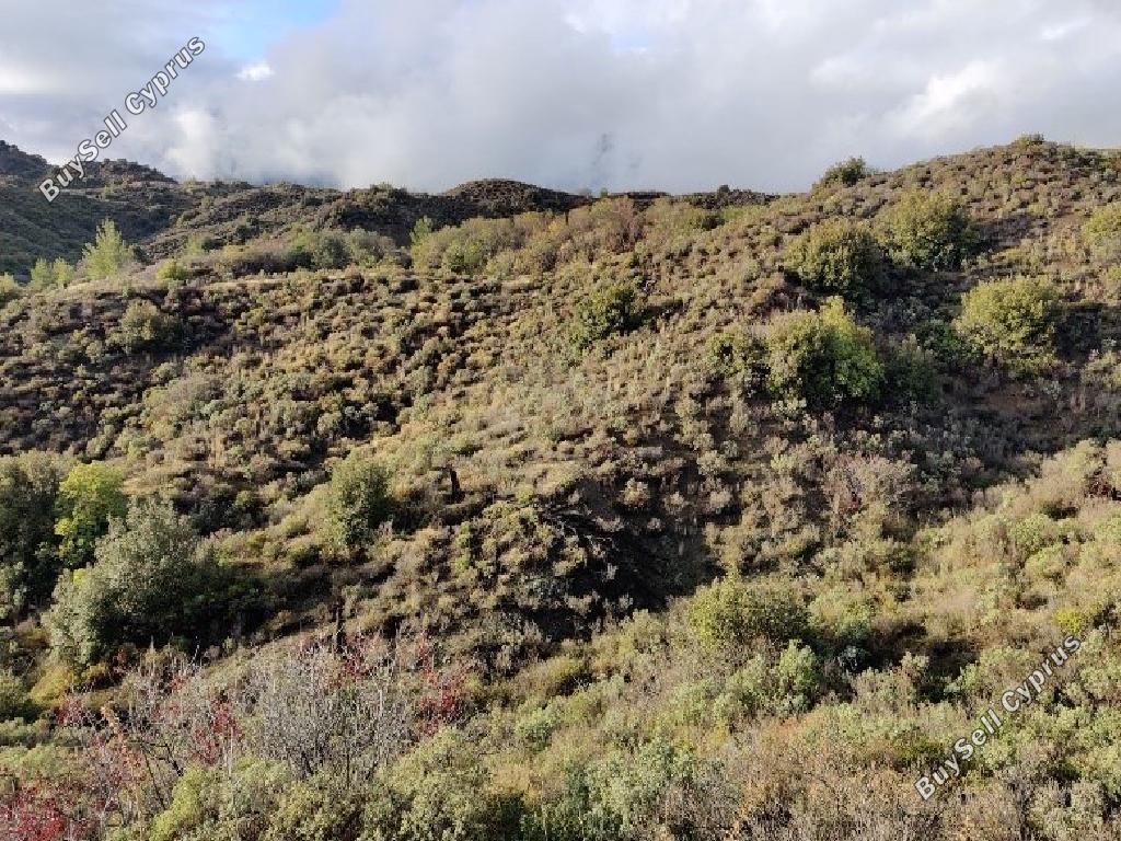29098 SQM Land for sale in Pelendri, Limassol 15602588