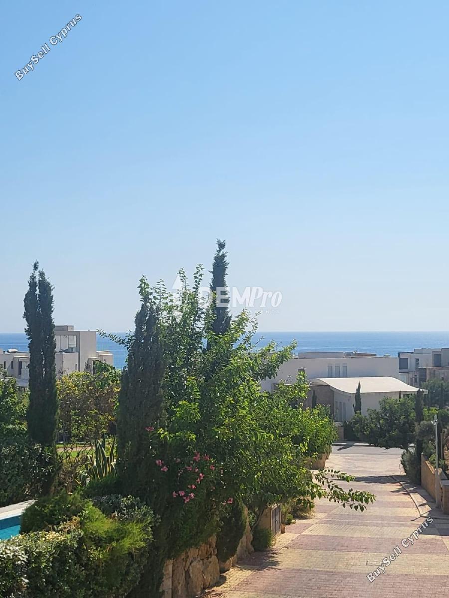 3 bedroom detached house for sale chlorakas paphos 7812954 image 12701556