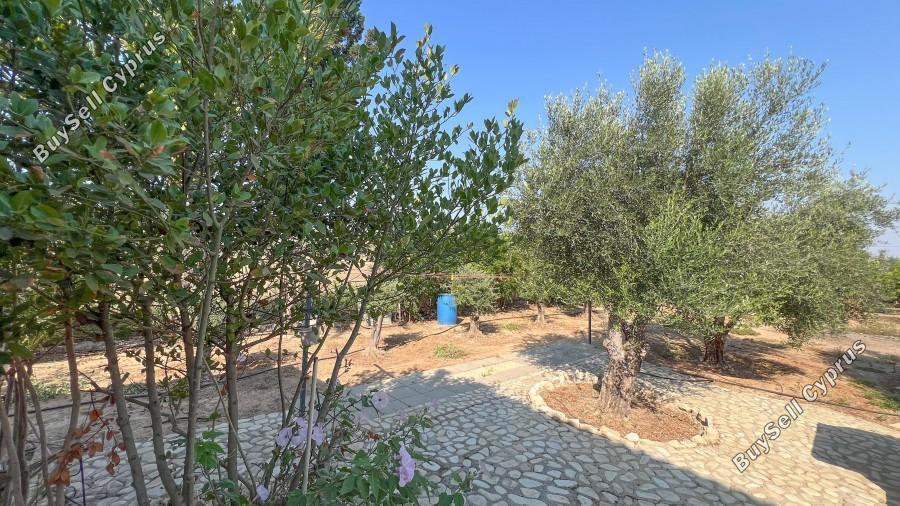 4 bedroom detached house for sale pervolia larnaca 8597954 image 15734819