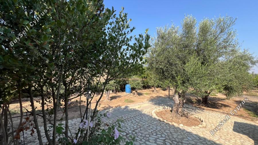 4 bedroom detached house for sale pervolia larnaca 8597954 image 15734830