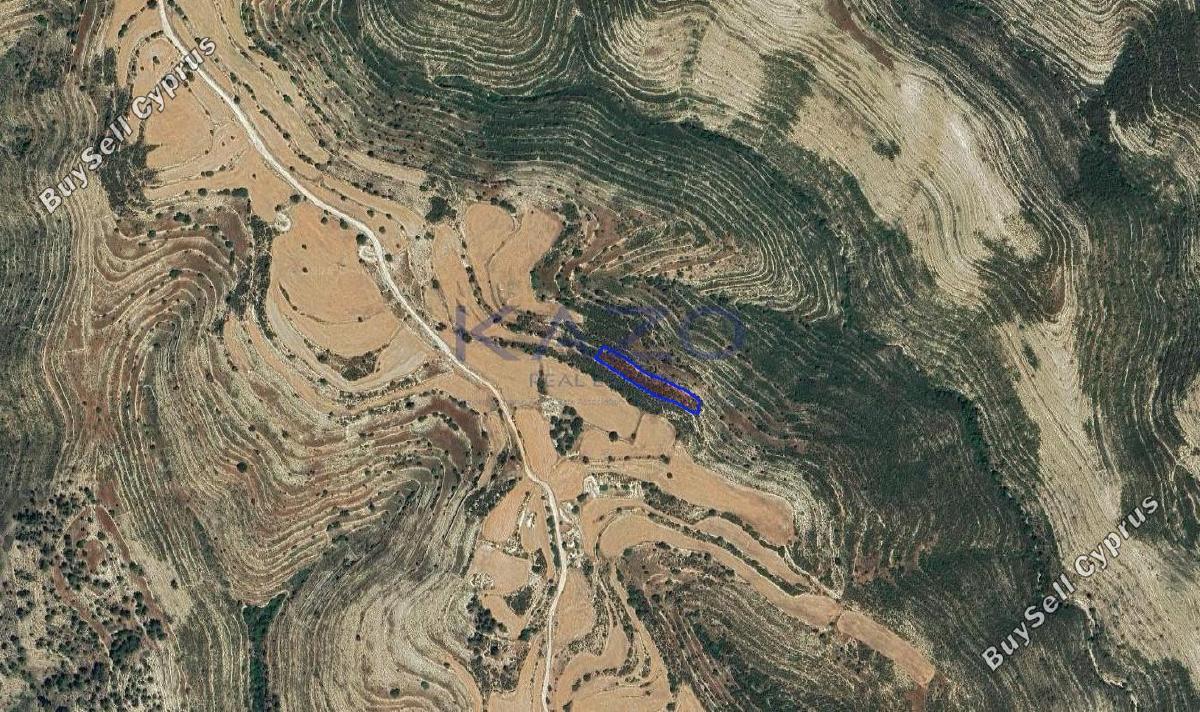 land for sale lofou limassol 8381954 image 15880843