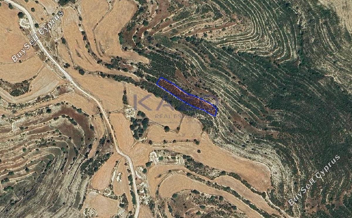 land for sale lofou limassol 8381954 image 15880844