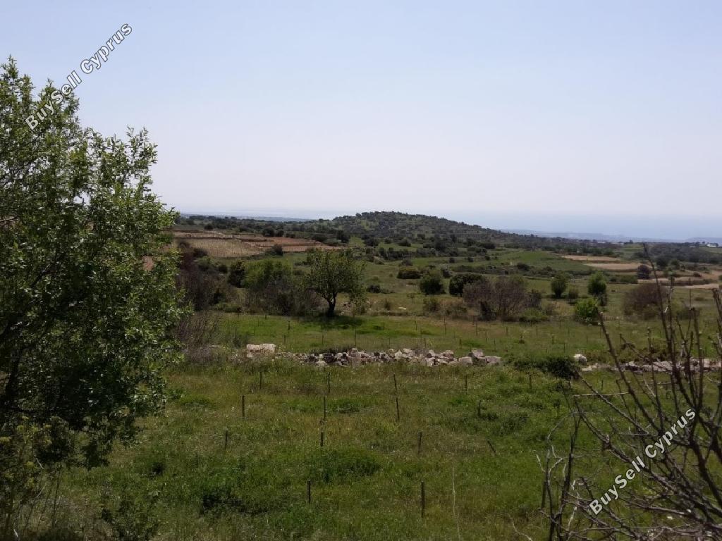 land for sale pachna limassol 945954 image 15600922