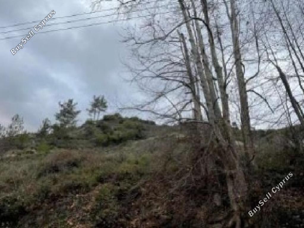 land for sale pelendri limassol 1081954 image 15603389