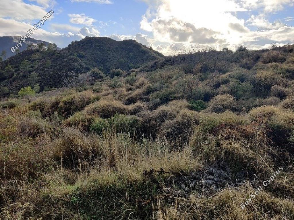 land for sale pelendri limassol 890954 image 15602587