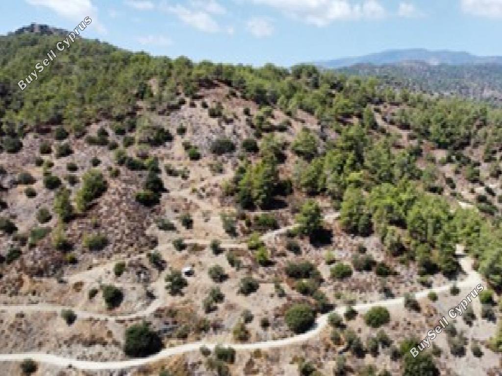 land for sale pelendri limassol 890954 image 17158898