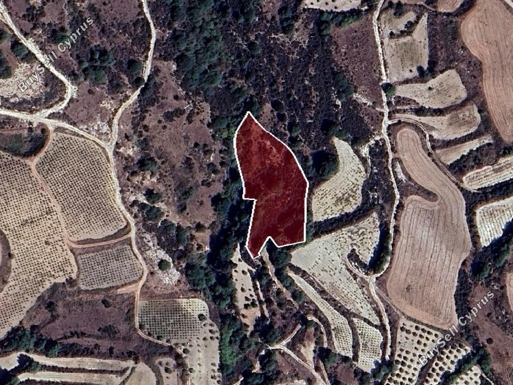 land for sale stroumbi paphos 8664954 image 17010492
