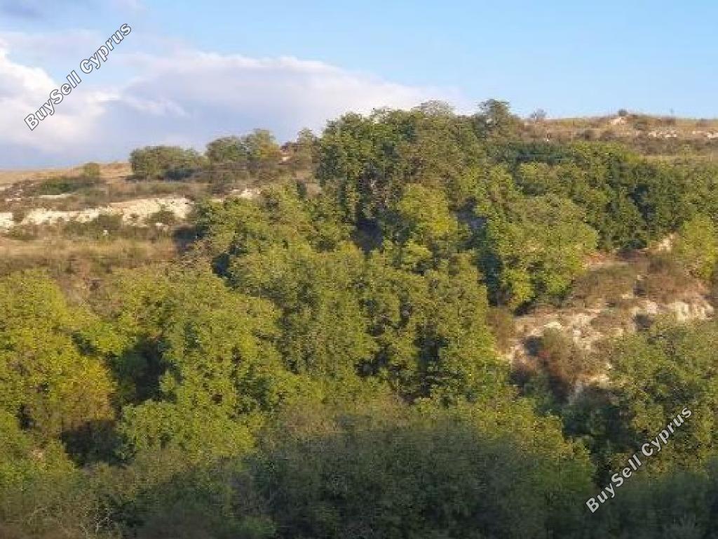 land for sale stroumbi paphos 8664954 image 17010493
