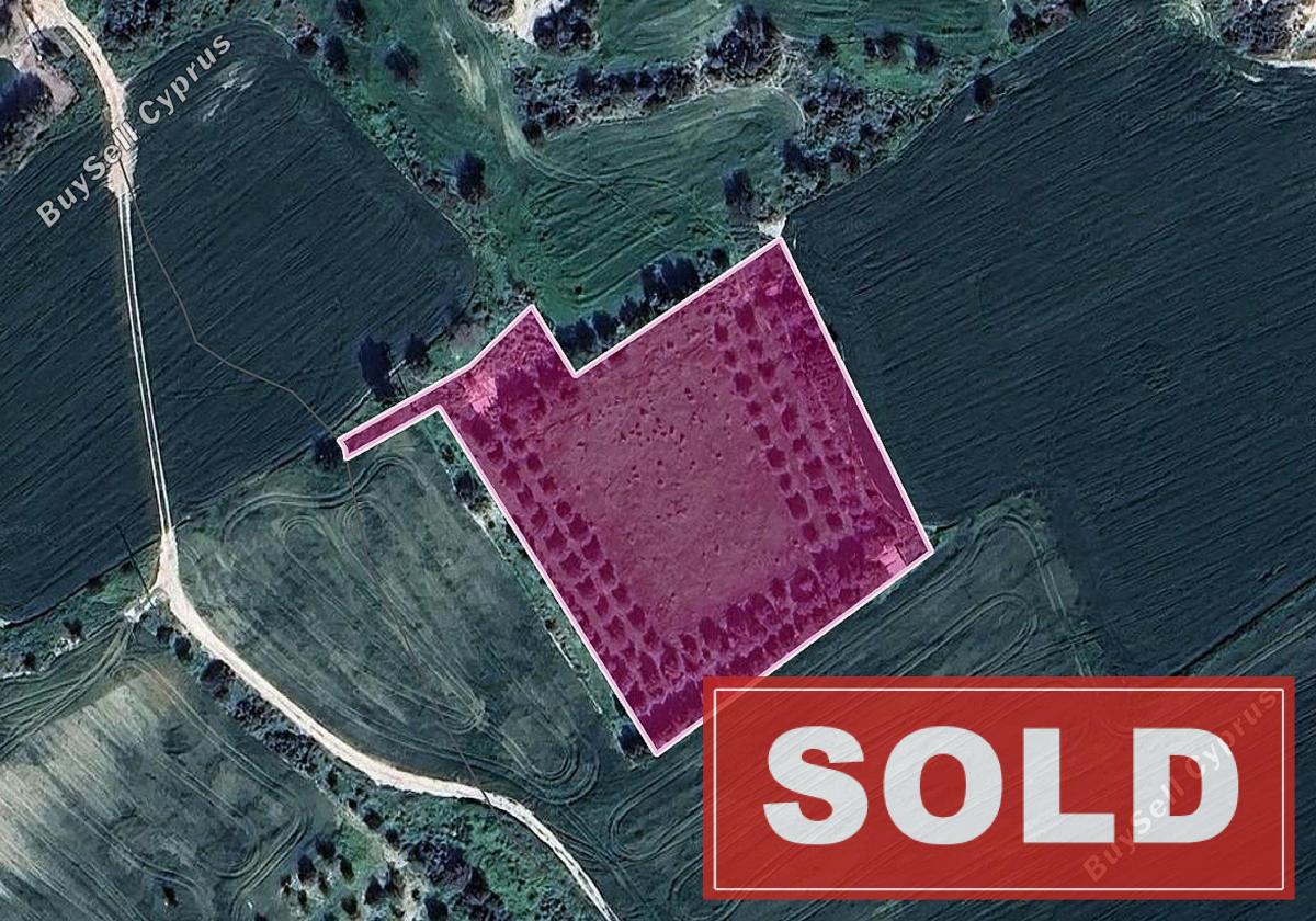 land sold tochni larnaca 1777954 image 5026809
