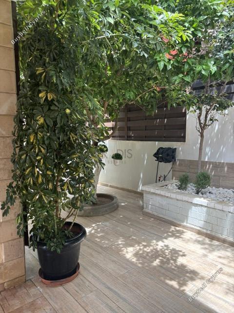 4 bedroom detached house for rent ekali limassol 8693064 image 16942328