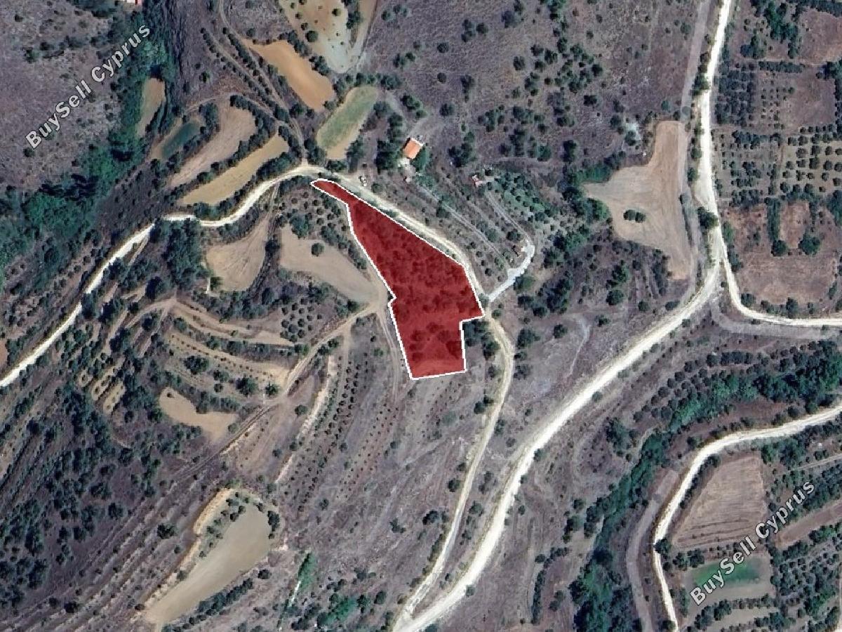 land for sale xyliatos nicosia 1846064 image 16294919
