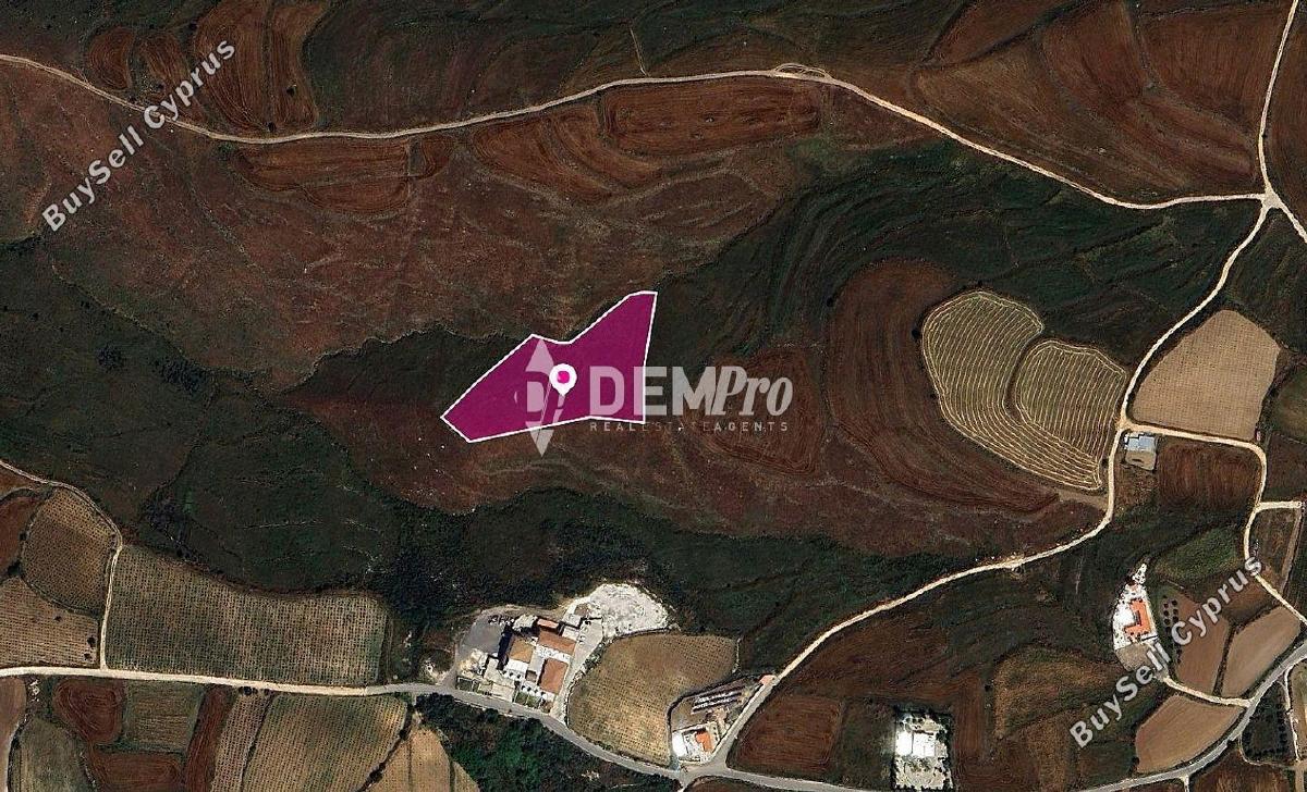7358 SQM Land for sale in Kathikas, Paphos 15574661