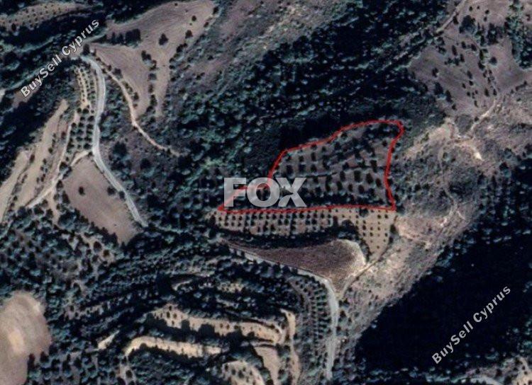 12660 SQM Land for sale in Loukrounou, Paphos 5518909