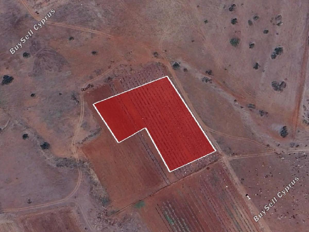 land for sale peristerona lefkosias nicosia 8716164 image 16294641