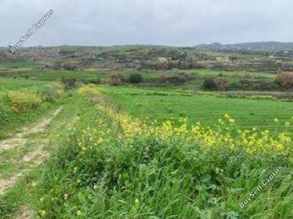 land for sale stroumbi paphos 8532164 image 17052797