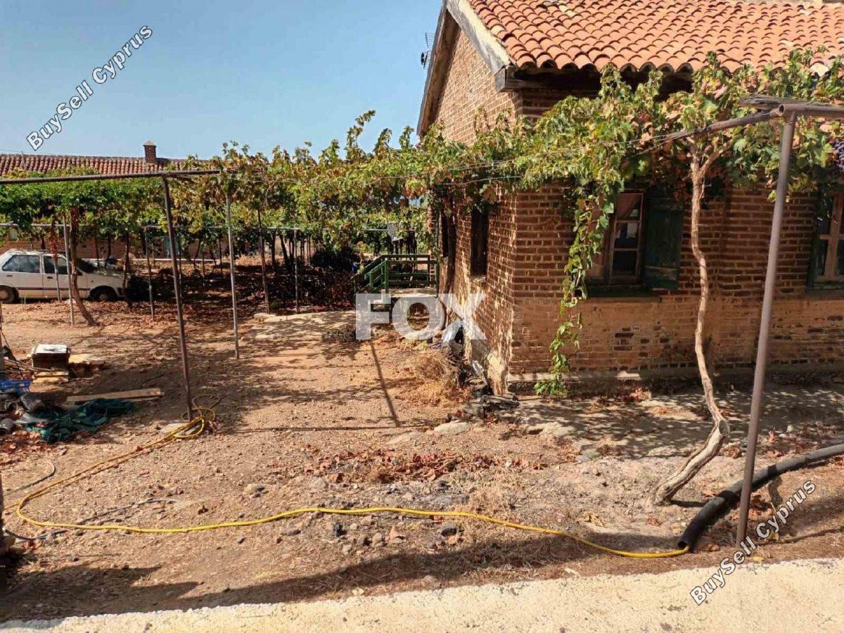 4 bedroom semi detached bungalow for sale nea dimmata paphos 1160264 image 11260318