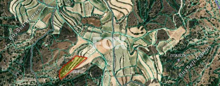12629 SQM Land for sale in Letymvou, Paphos 5520527
